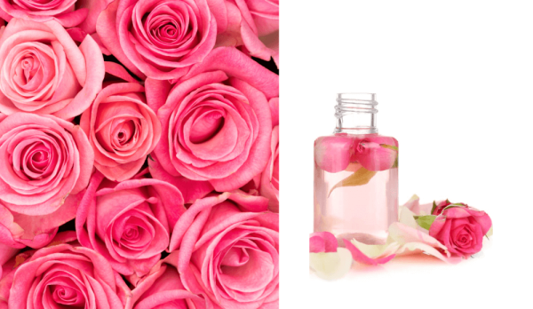 Products-Botanical-Natural-Cosmetic-Active-Fusion-Extracts