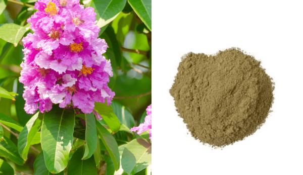 Products-Imported-Extract-and-Nutraceutical-Range