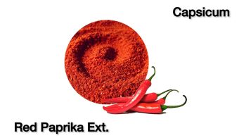 sliding-table-5-3-Capsicum