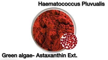 sliding-table-5-3-Haematococcus-Pluvialis