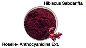 sliding-table-5-3-Hibiscus-Sabdariffa