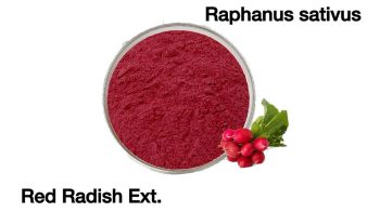 sliding-table-5-3-Raphanus-sativus