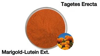sliding-table-5-3-Tagetes-Erecta-Lutein